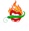 The Chile Lady logo.